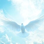 Confirmed in Christ: A New Beginning